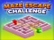 ゲームMaze Escape Challengeオンライン