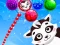Raccoon Rescue — 無料オンラインゲーム