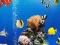 Sea Underwater Difference — 無料オンラインゲーム