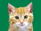 Idle Painter — 無料オンラインゲーム