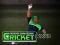 Cricket Fielder Challenge — 無料オンラインゲーム