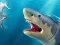 Shark Hunting — 無料オンラインゲーム