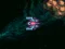 Asteroid Crush — 無料オンラインゲーム