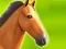 ゲームHorse Run 3Dオンライン