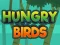Hungry Birds — 無料オンラインゲーム