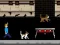 Streamer Fashion Run — 無料オンラインゲーム