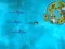 Survive the Sharks — 無料オンラインゲーム
