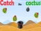 Catch The Cactus — 無料オンラインゲーム