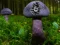 Mushroom Forest Adventure — 無料オンラインゲーム