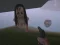ゲームThe Island of Momoオンライン