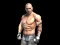 Fight Arena Online — 無料オンラインゲーム