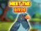 Meet The Birds — 無料オンラインゲーム