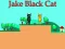 Jake Black Cat — 無料オンラインゲーム