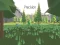 Precision — 無料オンラインゲーム