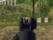Army Shooter — 無料オンラインゲーム
