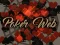 Poker Web — 無料オンラインゲーム