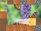 Wash if off — 無料オンラインゲーム