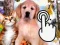 Pets Clicker — 無料オンラインゲーム
