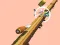 Spiral Rush — 無料オンラインゲーム