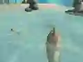 Shark Simulator Beach Killer — 無料オンラインゲーム
