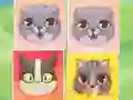Kitten Match — 無料オンラインゲーム