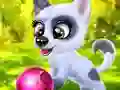 Happy Dog — 無料オンラインゲーム