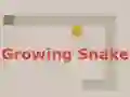 Growing Snake — 無料オンラインゲーム