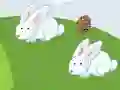 Crazy Eggs — 無料オンラインゲーム