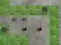Spider Tower Defence — 無料オンラインゲーム