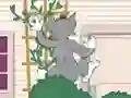Tom und Jerry: Wasserbomben Wahnsinn — 無料オンラインゲーム