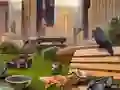 Rainy Day Excursion — 無料オンラインゲーム