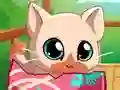 My Pocket Pets Kitty Cat — 無料オンラインゲーム