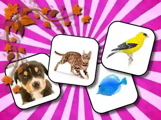 Animals Memory — 無料オンラインゲーム