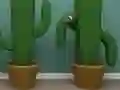 Cactus Cube — 無料オンラインゲーム