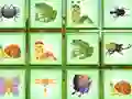 Find The Insect — 無料オンラインゲーム