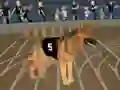 Crazy Dog Racing Fever — 無料オンラインゲーム