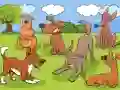 Animals Differences — 無料オンラインゲーム