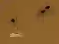 Save the crumb — 無料オンラインゲーム