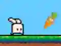 Bouncing Bunny — 無料オンラインゲーム