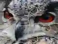 ゲームWild owl Jigsawオンライン