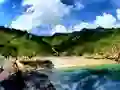 ゲームParrot House Escapeオンライン