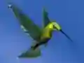 ゲームHummingbird House Escapeオンライン