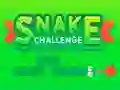 Snake Challenge — 無料オンラインゲーム
