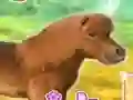 My Dear Pony — 無料オンラインゲーム
