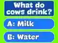 Trivia Best Family Quiz — 無料オンラインゲーム