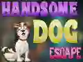 Handsome Dog Escape — 無料オンラインゲーム