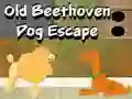 Old Beethoven Dog Escape — 無料オンラインゲーム