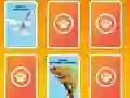 National Geographic Kids Matching — 無料オンラインゲーム