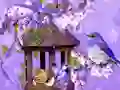 Wonderful Humming Bird Land Escape — 無料オンラインゲーム