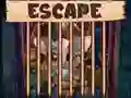Beautiful Little Bat Escape — 無料オンラインゲーム